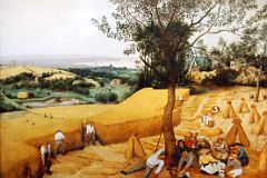 Met Highlights 04-1 Paintings Before 1860 Pieter Bruegel the Elder The Harvesters